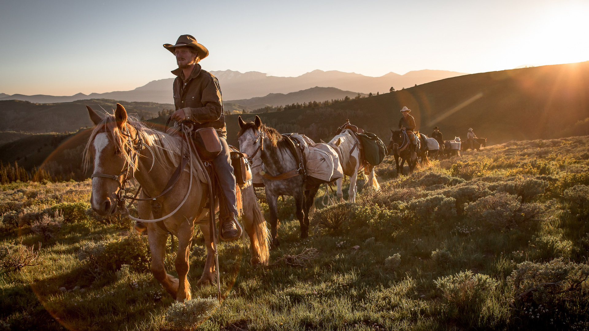Film still from Unbranded