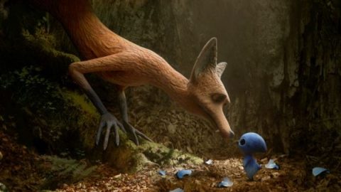the fox and the bird